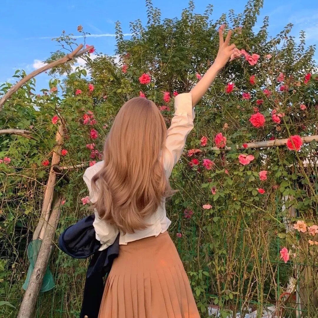 梅花红桃