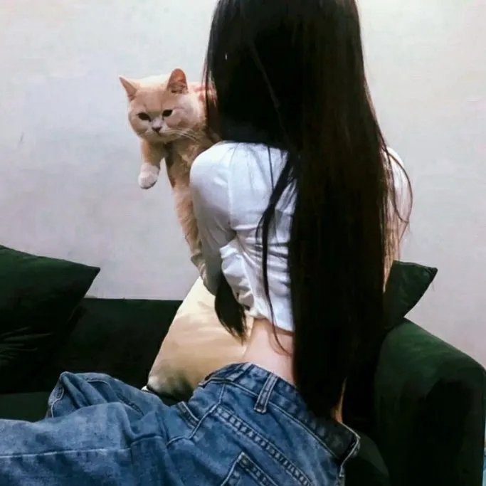 贵族精英